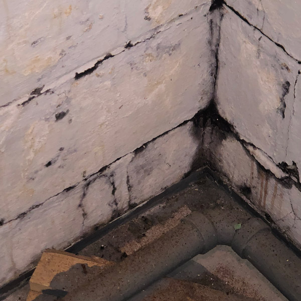 Basement Mold & Mildew Prevention in Green Bay
