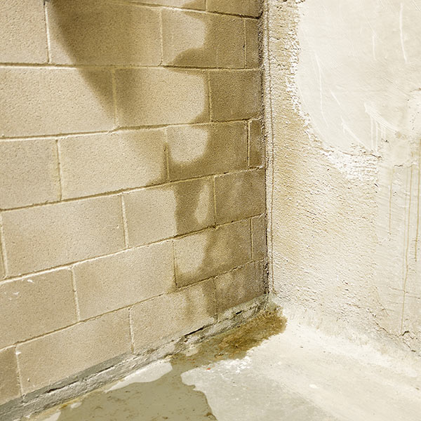 Expert Basement Waterproofing Near Appleton & Green Bay