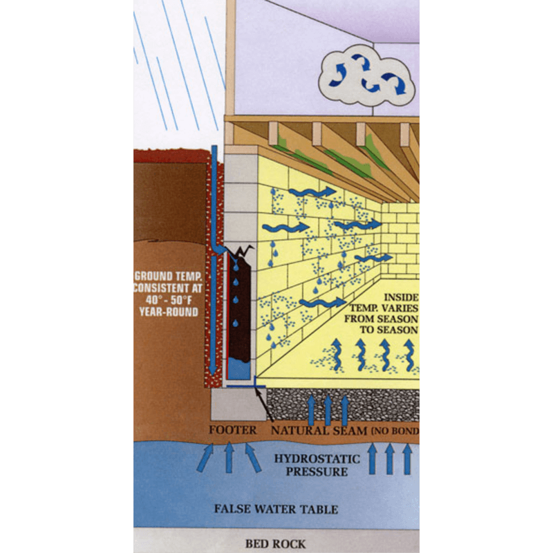 Mold Prevention & Removal Tips in Green Bay and Appleton, WI
