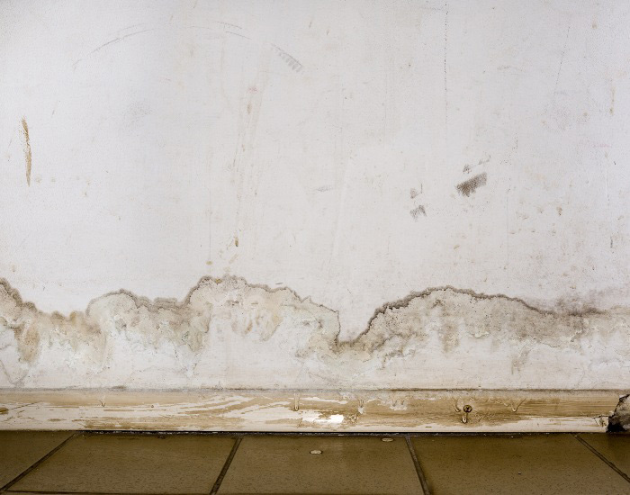 A water-stained wall in an Appleton, Wisconsin home. 